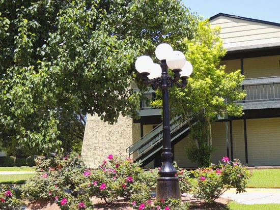 Alexis Park in Bossier city