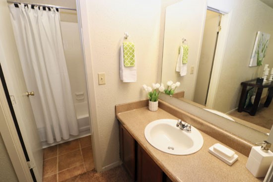 Seasons-Apartments-Model-Bathroom