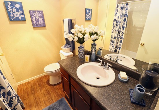 Aspen model apartment - bath