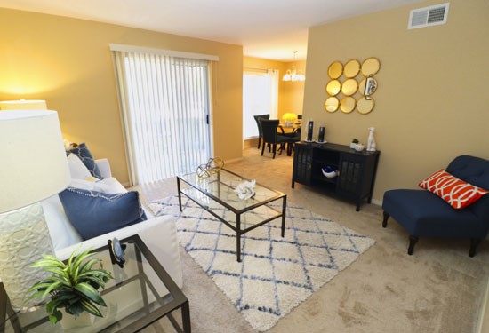 apartment shreveport- living room