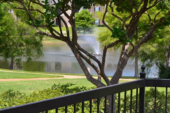 Riverwalk Apartments look at lake from balcony, lots of trees