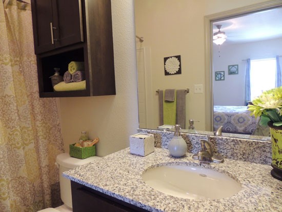 JamesTown Place Apartments Bathroom