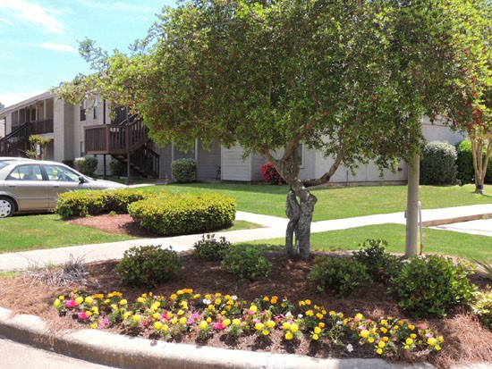Cedar Creek Apartment Buildings Surrounded by Beautiful Scenery