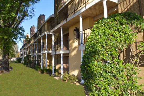 Chimney hill Beautiful Greenery With Yellow Apartment Buildings