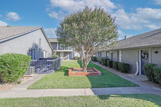Oasis-Apts-Bossier-courtyard-tree