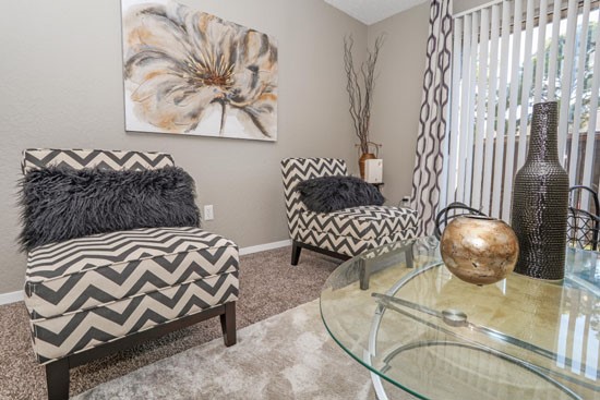 Stone_Canyon_apartments-Model-Living-area