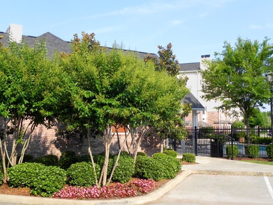 Lexington Place Apartments Club house