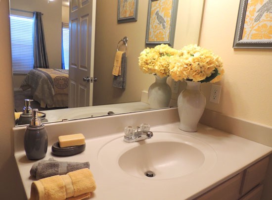 Lexington Place Sink