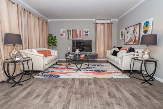 Maplewood Model living Room sofas