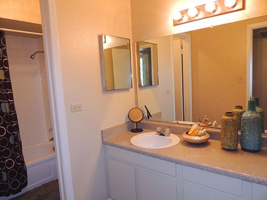 Riverbend big beautiful model bathroom with toilet and shower separate from sink