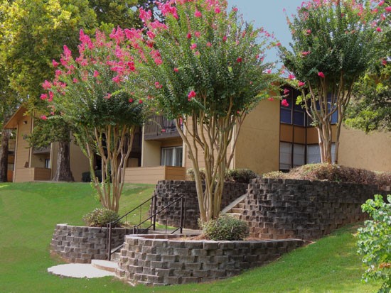 Riverbend beautiful tree walkway up to apartment buildings
