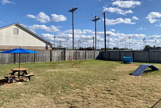 Summit-Apartments-Dog Park