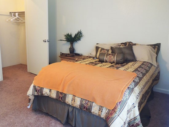 Tree Tops model of master bedroom with walk in closet and lots of room