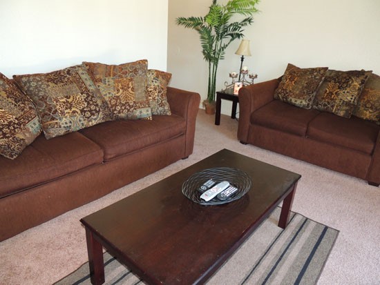 Tree Tops huge model living room with lots of natural light