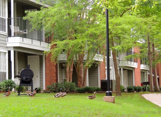Willows at Wright Island Apartments